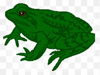 Green Frog Clipart Tadpole Frog - Frog Clip Art Emoji,Green Frog Emoji