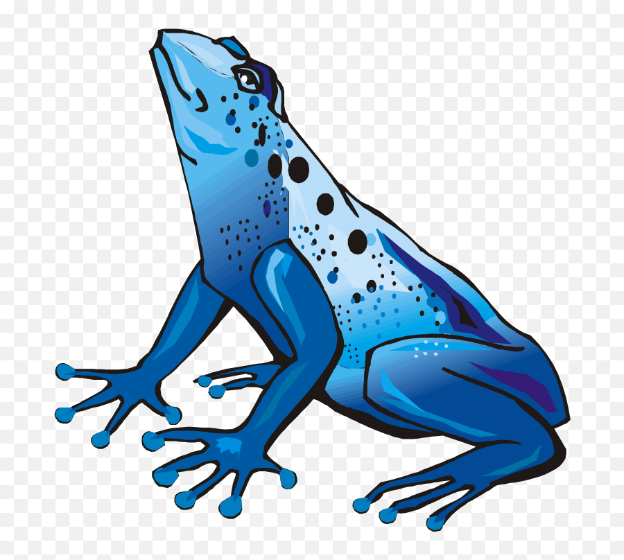 Poison Dart Frog Clipart - Poison Dart Frog Clipart Emoji,Poison Emoji