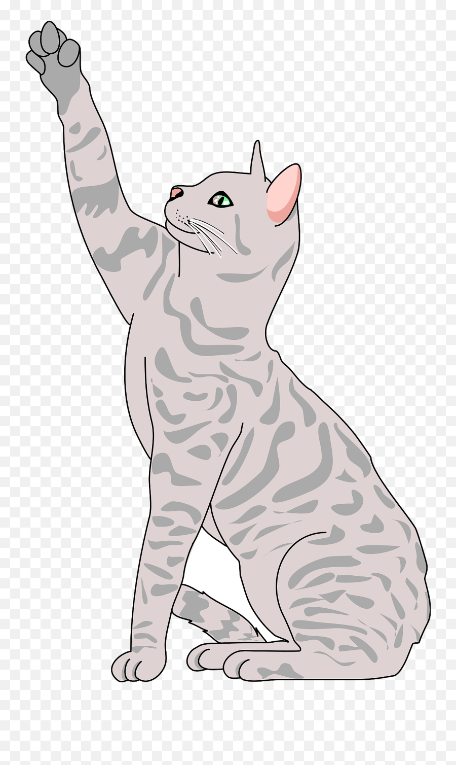 Cat Clipart - Transparent Realistic Cat Clipart Emoji,Gray Cat Emoji