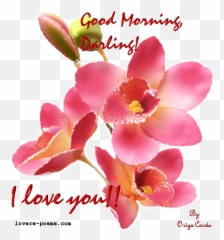 Library Of Good Morning Love Clipart Royalty Free Library - Husband Good Morning Sms Emoji,Good Morning Emojis