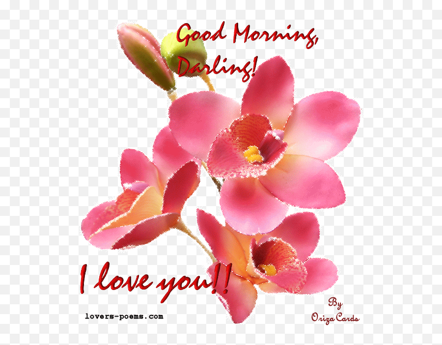 Library Of Good Morning Love Clipart Royalty Free Library - Husband Good Morning Sms Emoji,Good Morning Emojis
