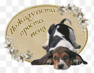Top Hound Dog Stickers For Android U0026 Ios Gfycat Emoji,Beagle Emoji