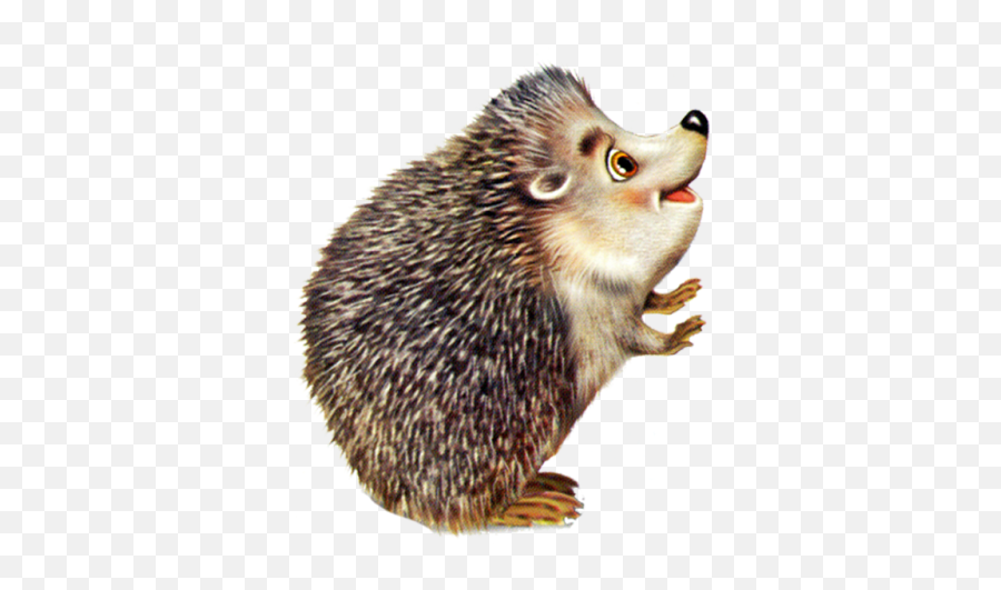 Porcupine Png And Vectors For Free Download - Hedgehog Clipart Png Emoji,Hedgehog Emoji