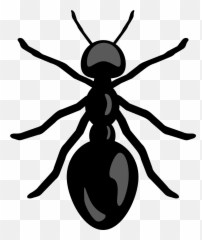 Top Ant Clip Art Clipart Blog 2 - Transparent Background Clipart Ant Emoji,Ant Emoji