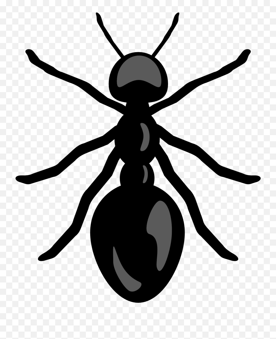 Top Ant Clip Art Clipart Blog 2 - Transparent Background Clipart Ant Emoji,Ant Emoji