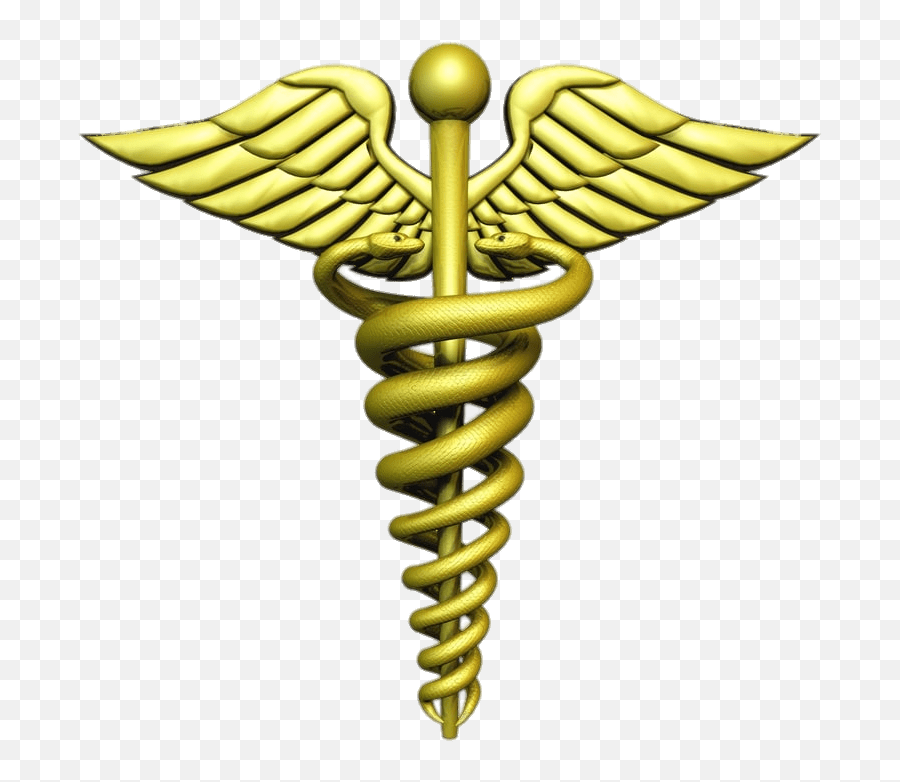 Doctor Logo Png Hd Transparent Png - Western Visayas Medical Center Logo Emoji,Tardis Emoji