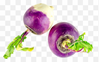 Turnip Taste Like - Le Navet Emoji,Turnip Emoji