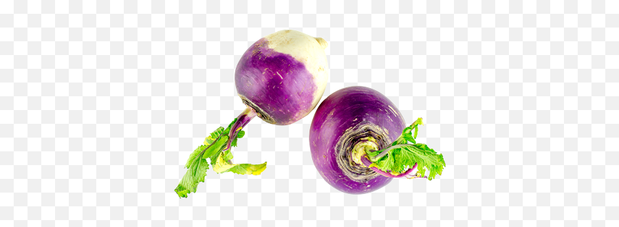 Turnip Taste Like - Le Navet Emoji,Turnip Emoji