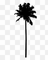 Hammock Clipart Sunset - California Palm Tree Vector Emoji,Hammock Emoji