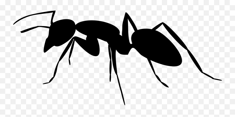 Ants Clipart Silhouette Pencil And In Color Ants - Ant Silhouette Emoji,Ant Emoji