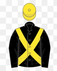 Owner Sir Peter Osullevan - Sir Peter O Sullivan Colours Emoji,Water Emoticon