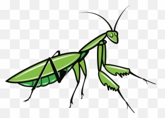 Mantis Png Images Free Download - Praying Mantis Clipart Emoji,Praying Mantis Emoji