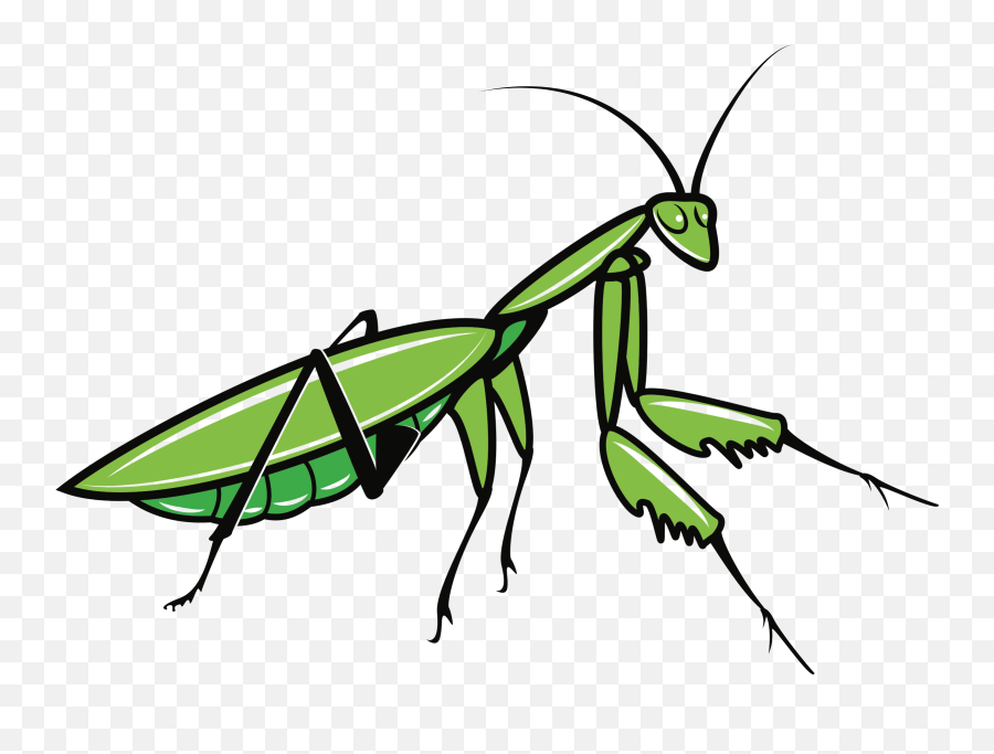 Mantis Png Images Free Download - Praying Mantis Clipart Emoji,Praying Mantis Emoji