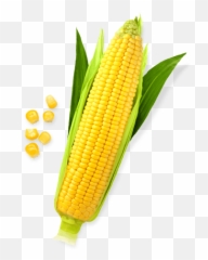 Corn Icon Transparent Png Clipart - Emoji