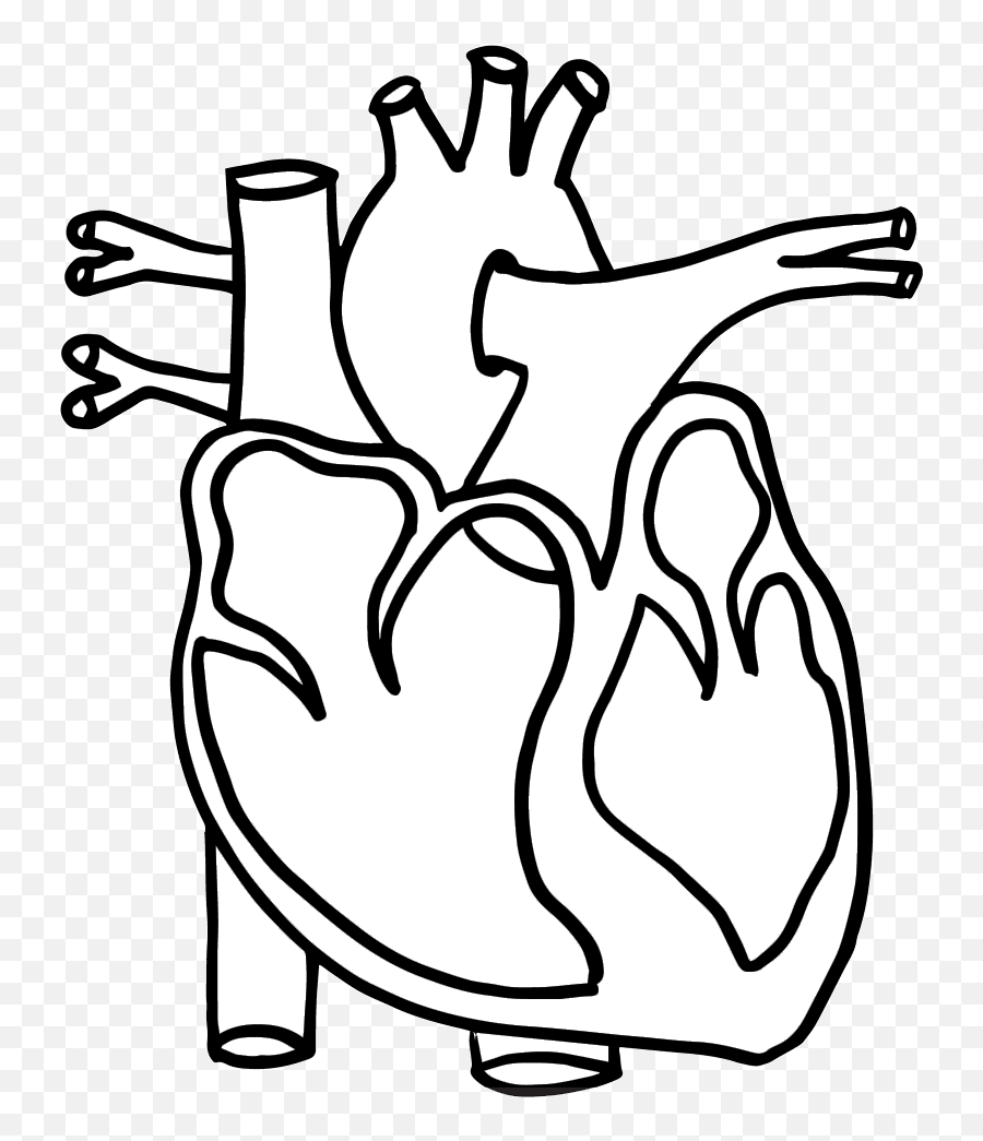 Human Heart Coloring Pages Printable Human Body Outline - Human Heart Worksheets Emoji,Emoji Color Pages