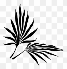 Palm Fronds Png Search Results Landscaping Gallery - Clip Art Emoji
