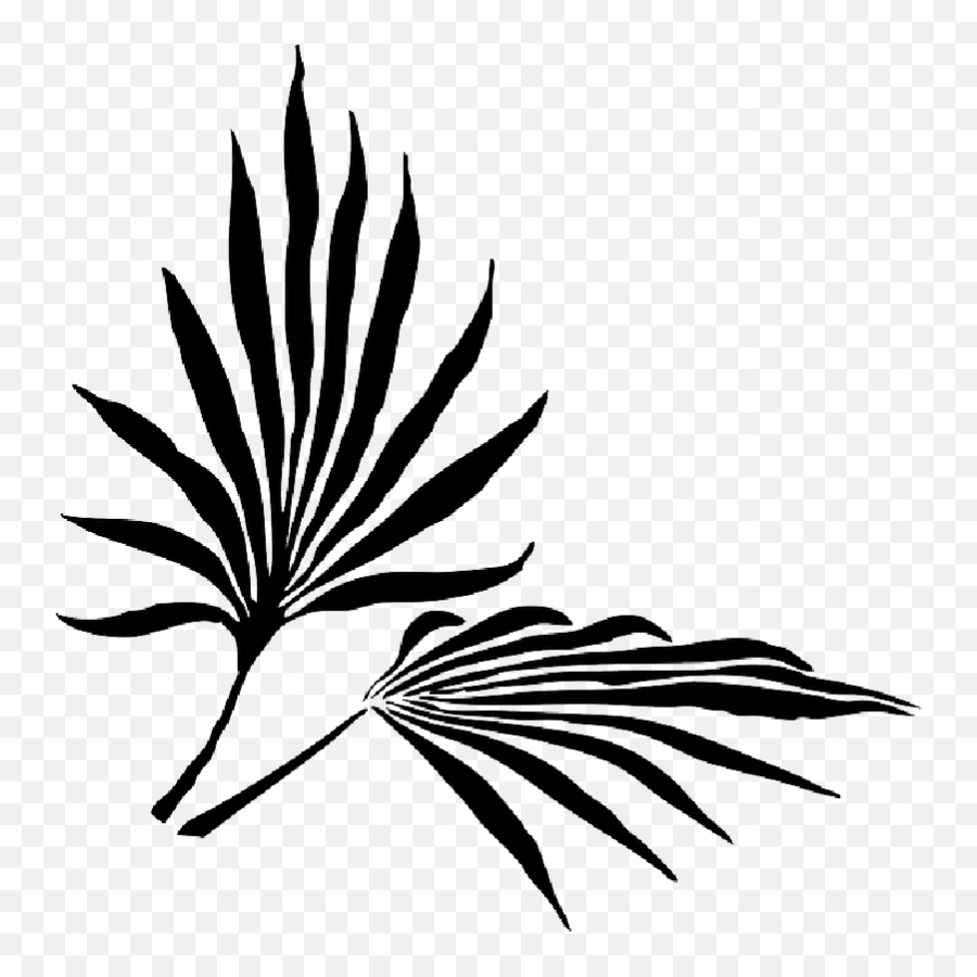 Palm Fronds Png Search Results Landscaping Gallery - Palm Palm Frond Clip Art Emoji,Palms Up Emoji