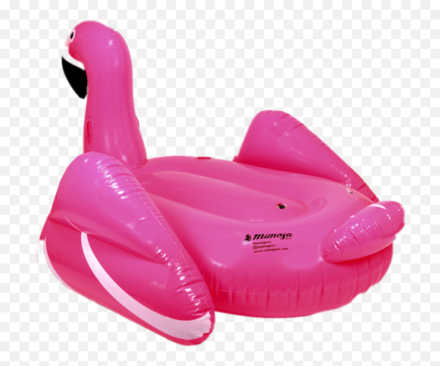 The Most Edited - Pink Flamingo Pool Float Png Emoji,Emoji Floaties