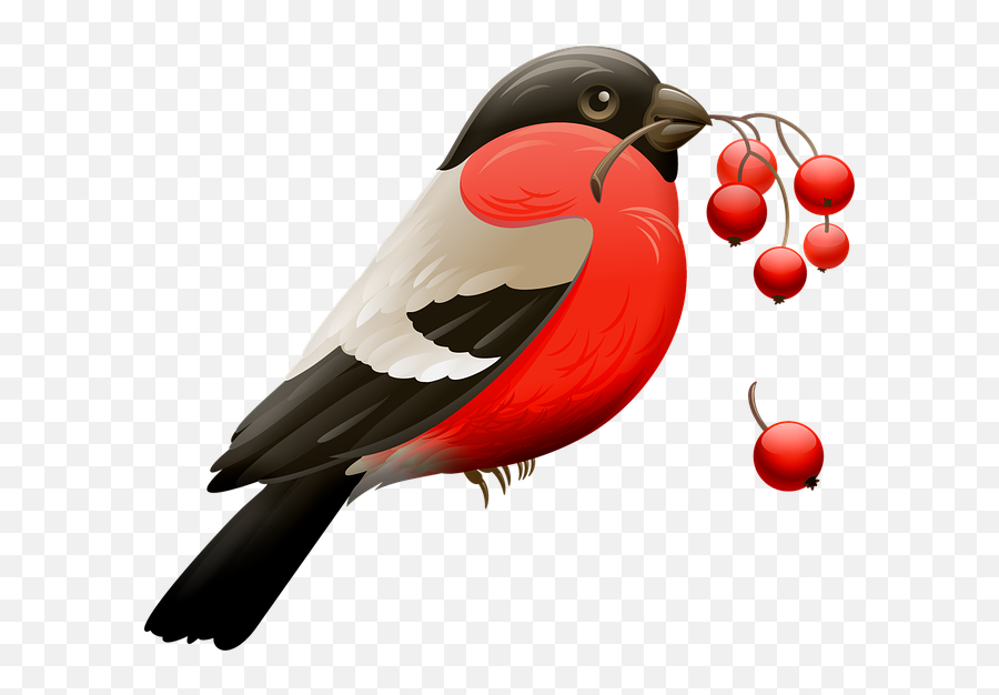 Free Photo Character Emoji Cute Red Tomato Cartoon Vegetable - Birds And Berries Clipart,Robin Emoji
