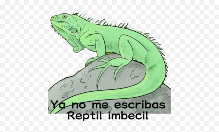 Iguanitas Stickers For Whatsapp - Green Iguana Emoji,Iguana Emoji