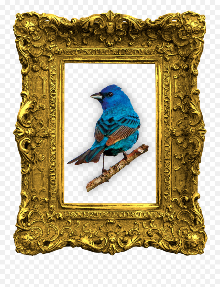 Freetoedit Bluebird Bird Frame - Golden Mirror Frame Png Emoji,Bluebird Emoji