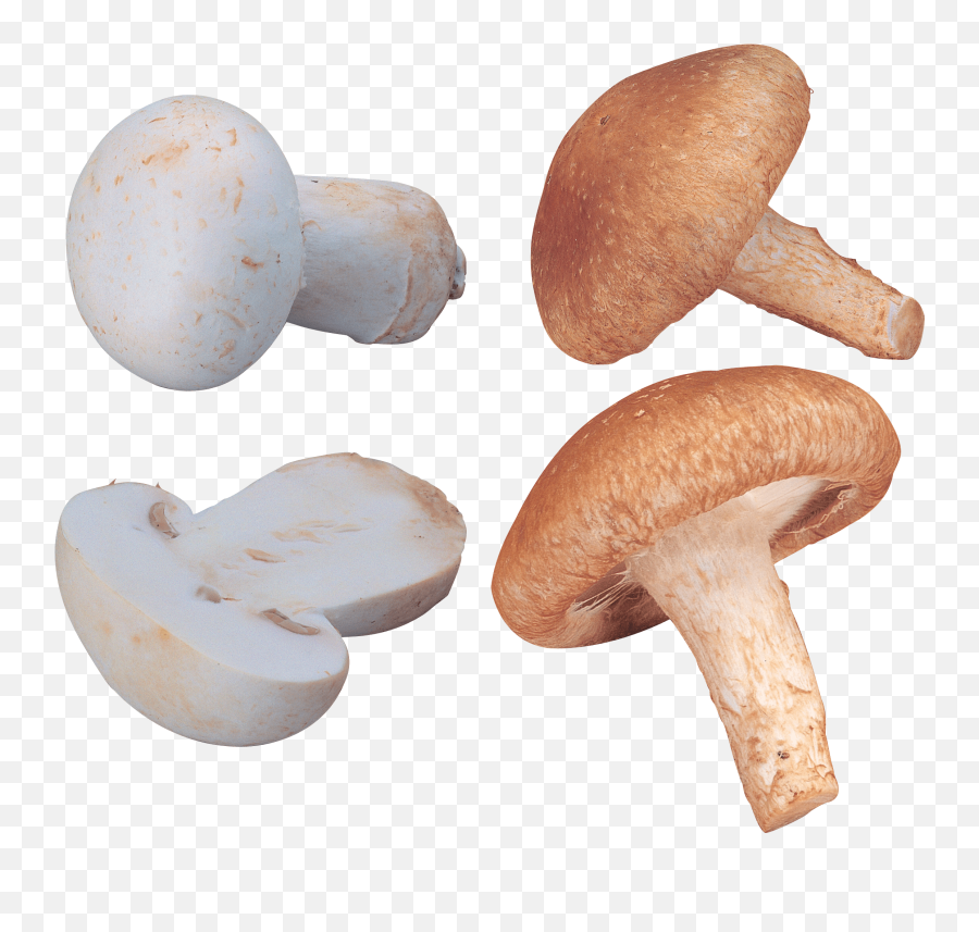 Download Free Mushroom Png Image Icon Emoji,Skull Mushroom Emoji