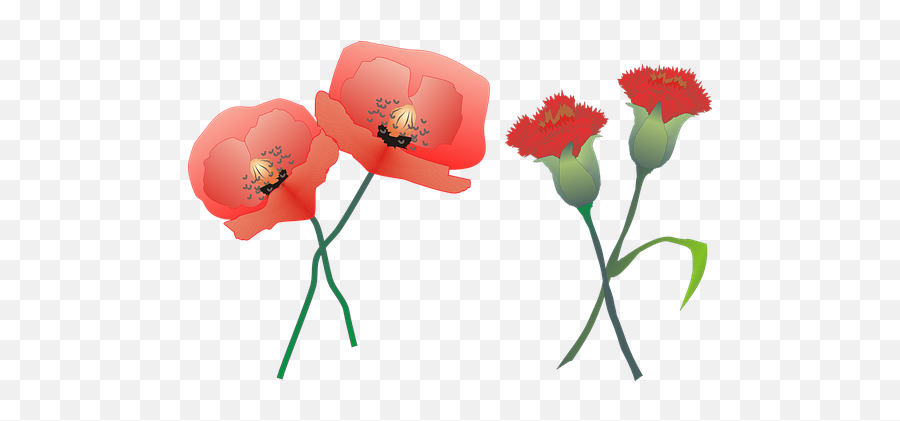 100 Free Redflower - Rose U0026 Flower Vectors Pixabay Carnation And Poppy Emoji,Japanese Emoticons Flower In Hair
