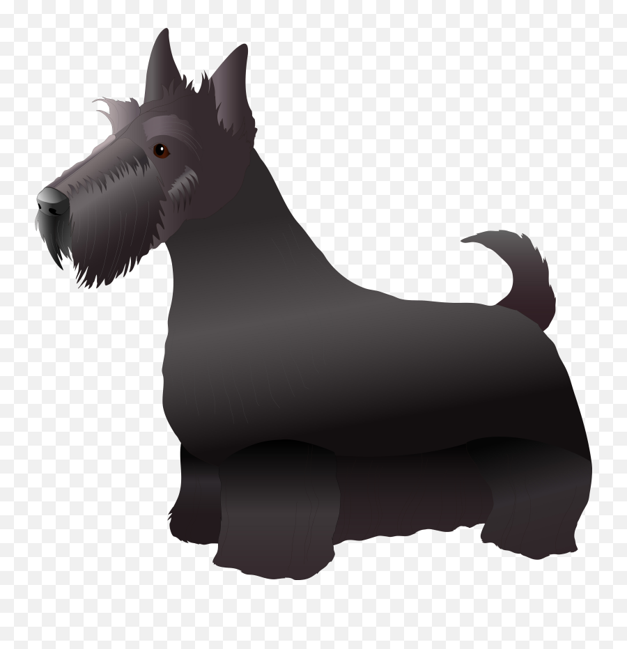 Scottish Terrier Miniature Schnauzer - Vulnerable Native Breed Emoji,Schnauzer Emoji