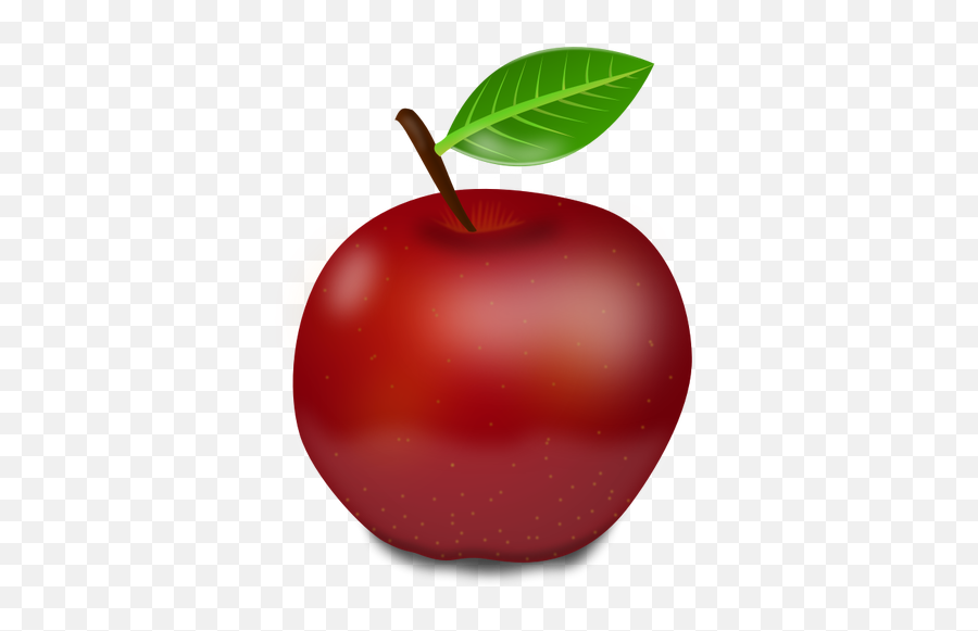 Fotorealistisk Rød Eple Med Grønne Blad Vector Illustrasjon - Png Clipart Apple Food Emoji,Squirrel Emoji