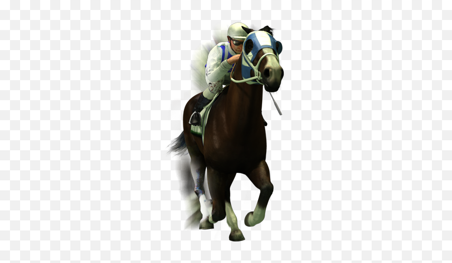 Virtual Owner - Horse Racing Png Emoji,Horse Emoticons