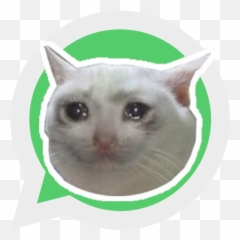 Sad Cat Stickers - WAStickerApps u2013 on Google Play Happy Emoji