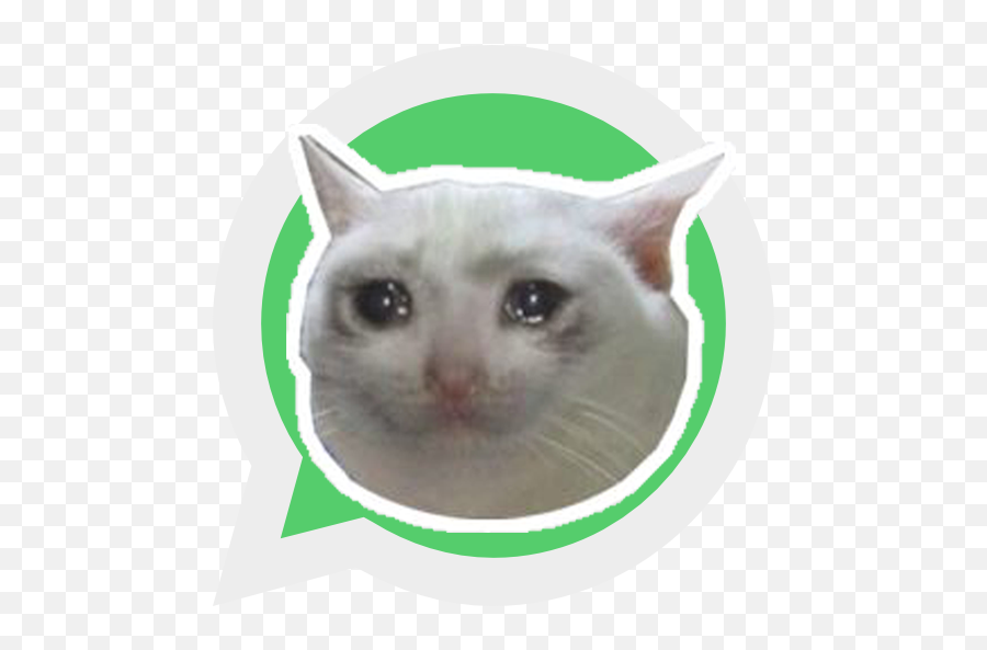 Sad Cat Stickers - Wastickerapps U2013 Apps On Google Play Happy Cat Sad Cat Emoji,Crying Cat Emoji