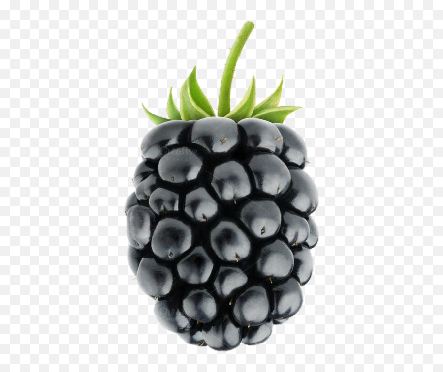 Blackberry - Blackberry Png Emoji,Blackberry Emoji
