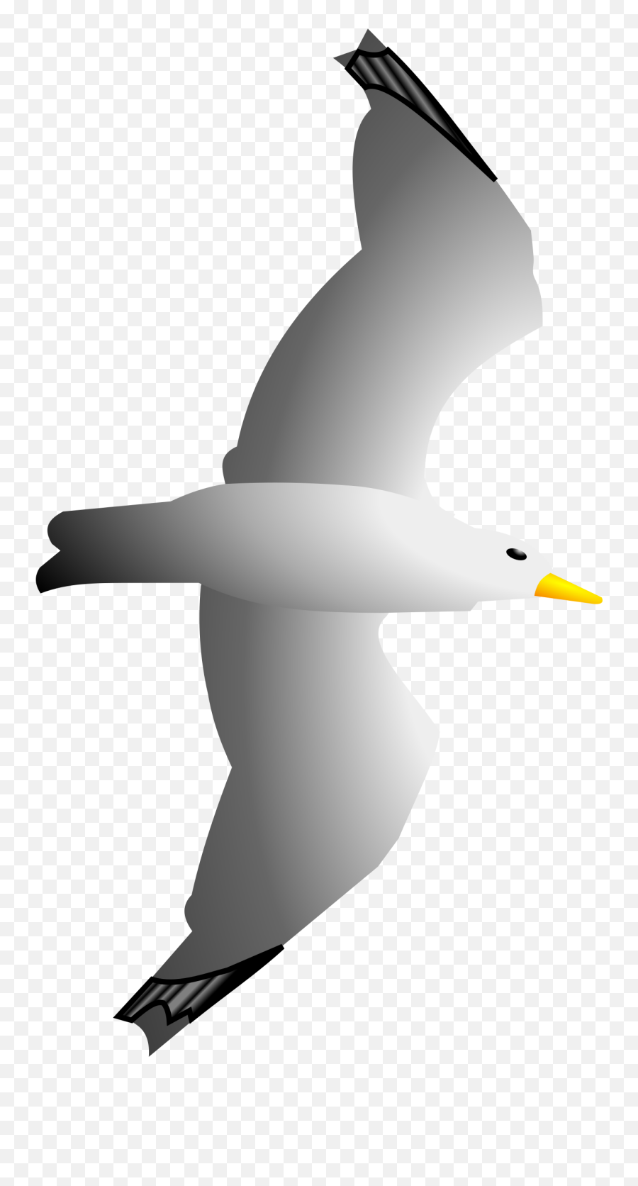 Seagull Clipart Png - Flying Seagull Clipart Emoji,Seagull Emoji