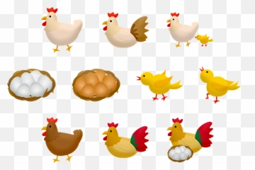 Baby Chick Mother Hen Eggs - Evolução De Um Pintinho Emoji