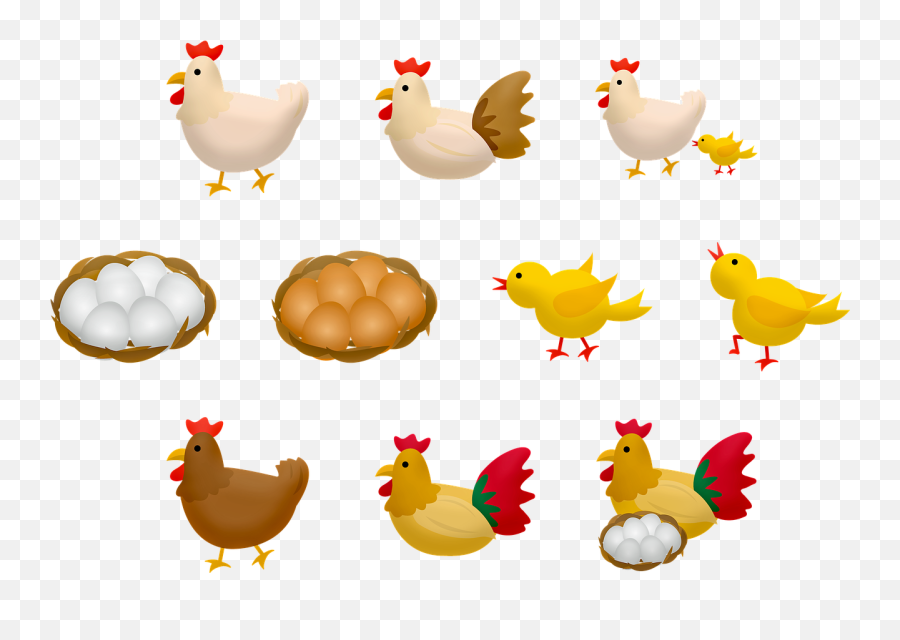 Baby Chick Mother Hen Eggs - Evolução De Um Pintinho Emoji,Chicken Nugget Emoji