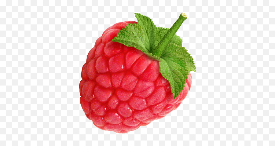 4570book - Raspberry Png Emoji,Raspberries Emoticon