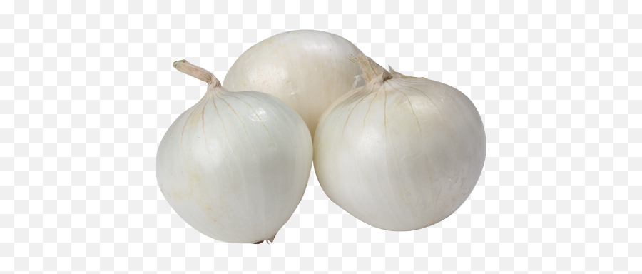 Onion Png Images Transparent Free Download - White Onion Png Emoji,Onion Emoji