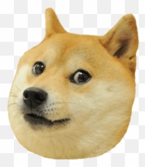 Meme Dog Memedog Doge Dogemoji Doges - Doge Transparent Doge,Doge Emoji