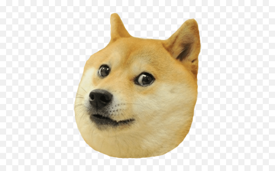 Meme Dog Memedog Doge Dogemoji Doges - Doge Transparent Doge,Doge Emoji