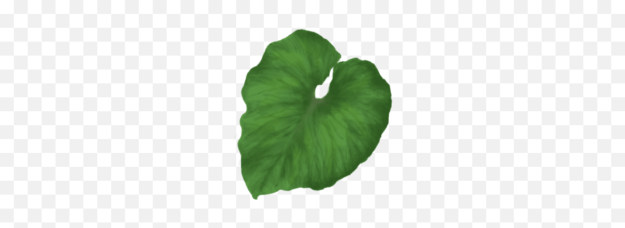 Leaf Png And Vectors For Free Download - Dlpngcom Transparent Background Monstera Leaf Png Emoji,Green Leaf Emoji