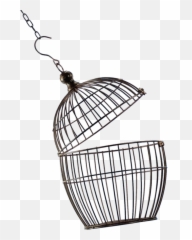 cage - Sticker by Karah z Open Bird Cage Png Emoji