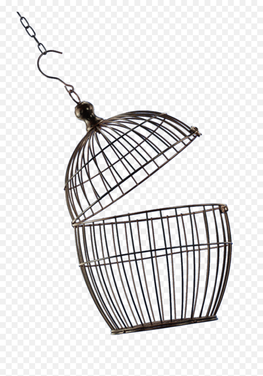 Cage - Sticker By Karah Z Open Bird Cage Png Emoji,Cage Emoji