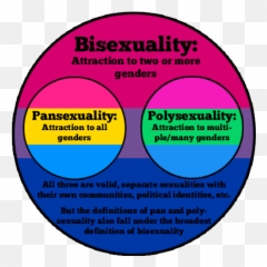 Pin - Polysexual And Pansexual Difference Emoji,Bisexual Flag Emoji