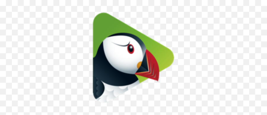 Puffin Tv Emoji,Puffin Emoji