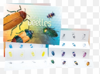 Jewel Beetles Concertina Pack Emoji,Jewel Emoji
