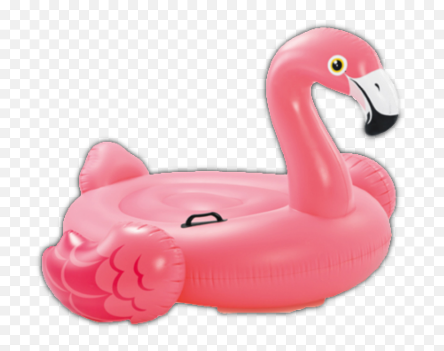 Floaty Flamingo Pink Float Freetoedit - Intex Flamingo Ride Emoji,Emoji Floaties