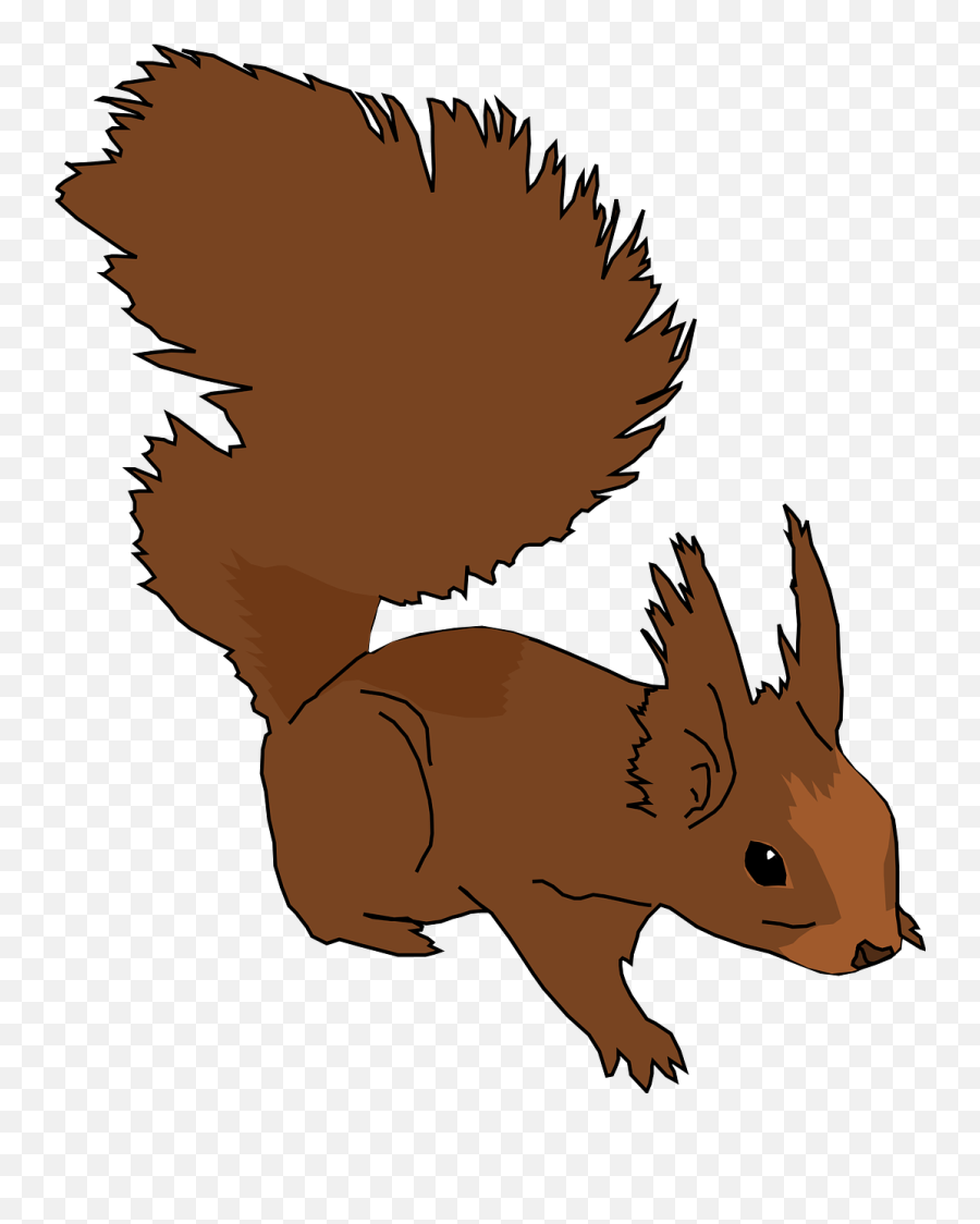 Squirrel Animal Cute Rodent Fluffy - Squirrel Clip Art Emoji,Raccoon Emoji Copy