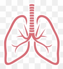 Free transparent emoji pulmones images, page 1 - emojipng.com