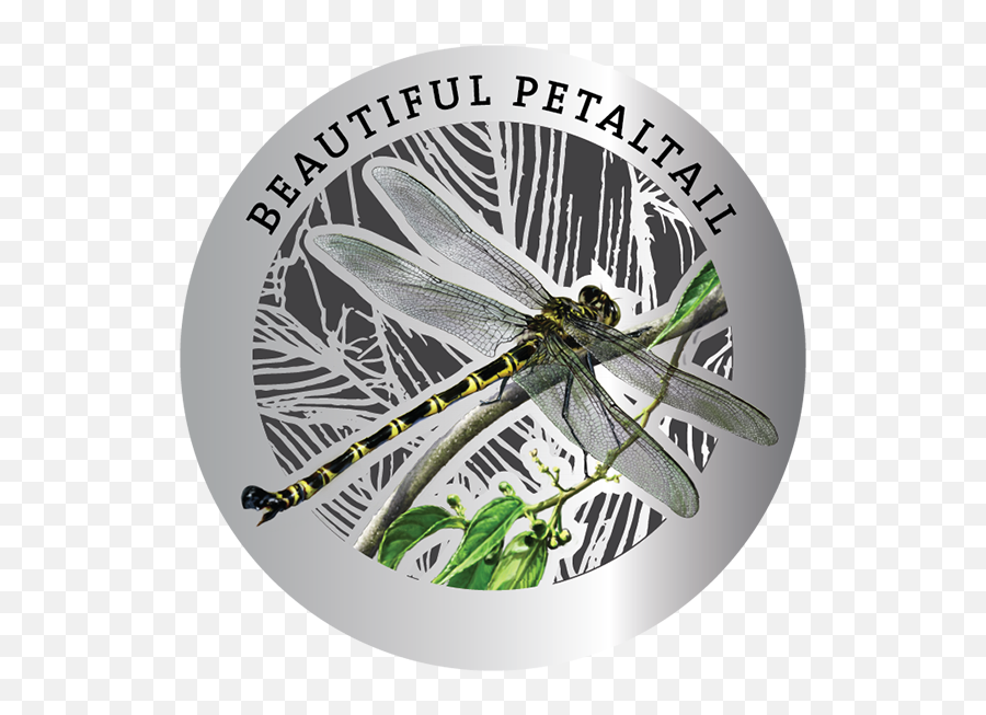 Dragonflies Medallion And Sheetlet Collection - Previous Parasitism Emoji,The Green Hornet Emoji